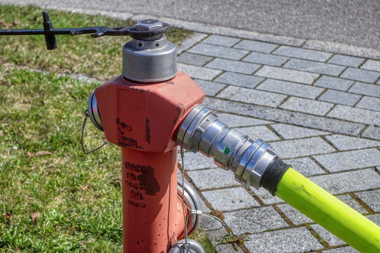 fire hydrant and hose